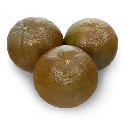 Апельсин Chocolate