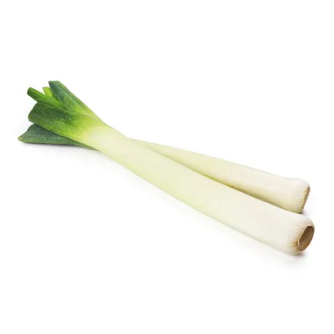 Лук порей