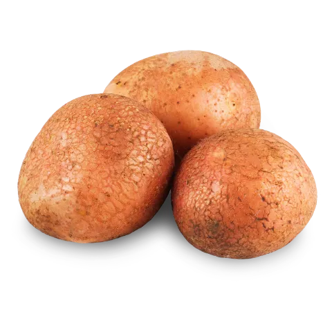 Картофель розовый