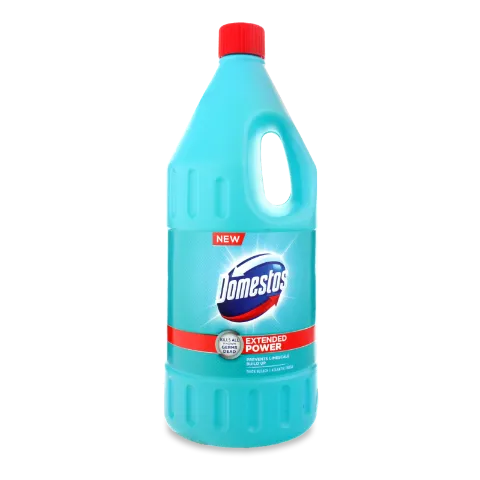 Средство Domestos Свежесть Атлантики универсальное