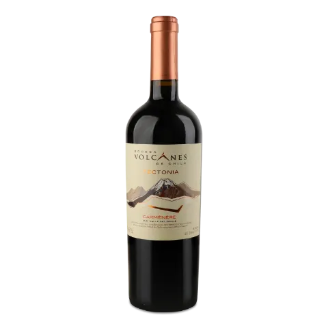 Вино Bodega Volcanes de Chile TectoniaCarmenere 17