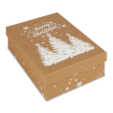 Коробка для подарунків 24*16см в асортимент 833812