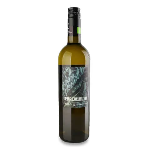 Вино Terre dei Buth Pinot Grigio