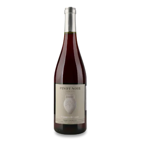 Вино Remy Pannier Pinot Noir rouge