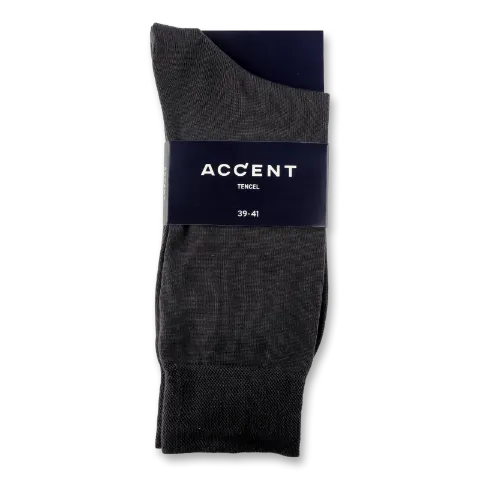 Шкарпетки чоловічі Accent 20105 темно-сірий р39-41